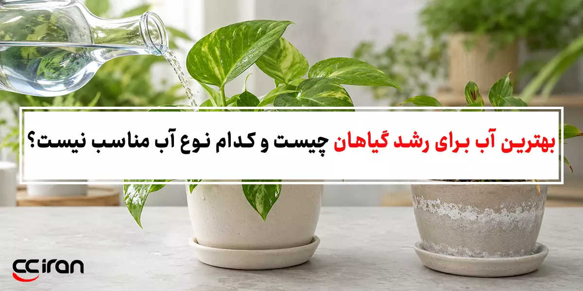بهترین آب برای رشد گیاهان چیست و کدام نوع آب مناسب نیست؟